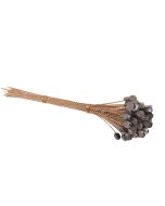 Leads with Wires-7/16"Diameter 10"Length 100 Pack